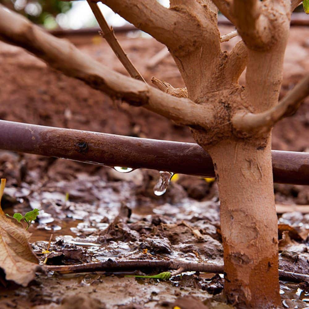 Jardins privés | Aquamag