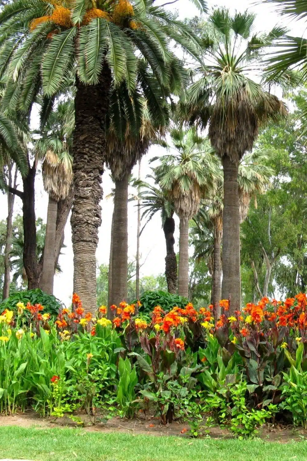 Arrosage automatique d’espace public au Parc de l’Ermitage de Casablanca par Aquamag au Maroc et en Afrique (1000 x 1500 px) (2) Espaces publics | Aquamag