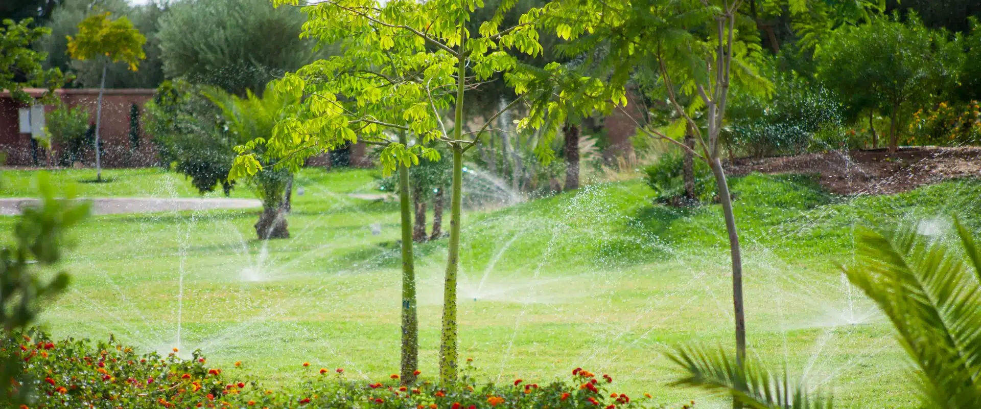 Arrosage automatique d’espace public par Aquamag au Maroc et en Afrique (10) Espaces publics | Aquamag