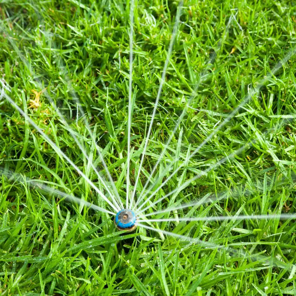 Arrosage automatique d’espace public par Aquamag au Maroc et en Afrique (7) Espaces publics | Aquamag