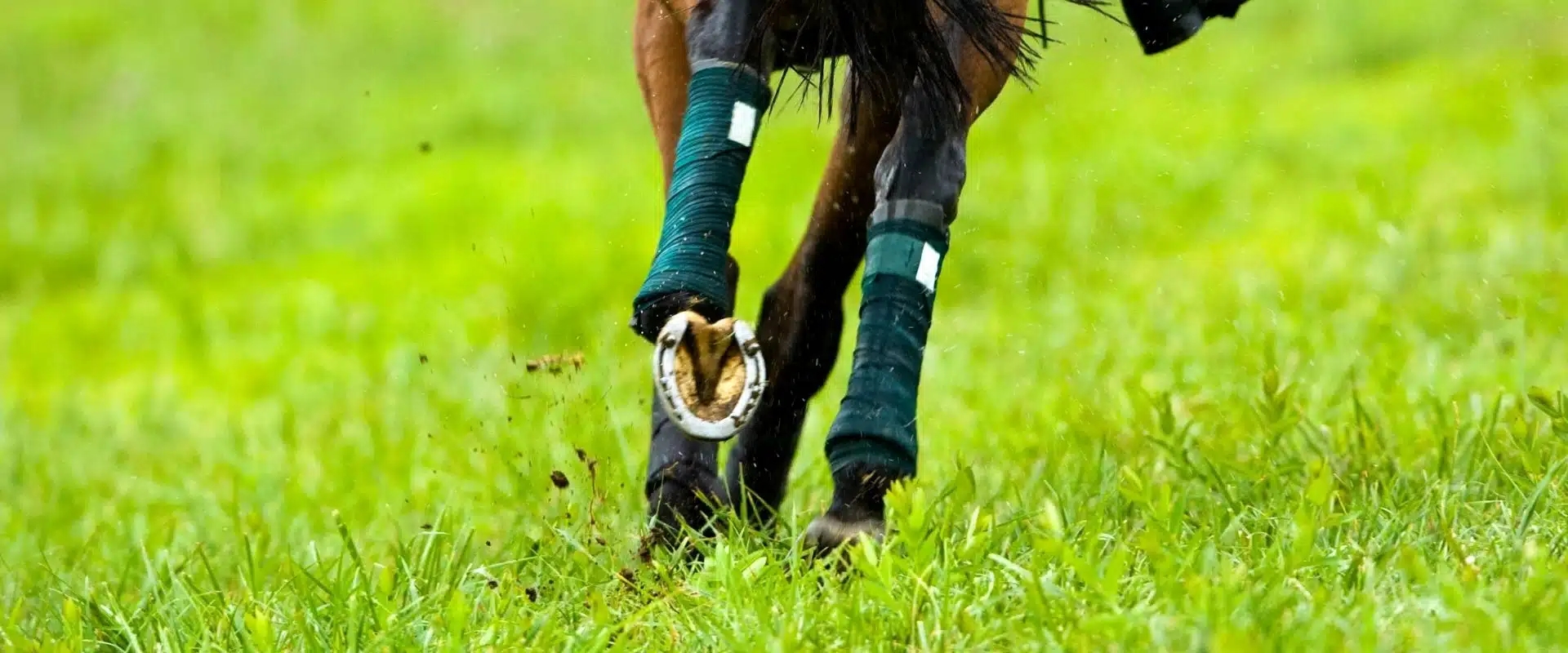 Arrosage de terrains de sport par Aquamag au Maroc et en Afrique (3) Terrains de sport | Aquamag