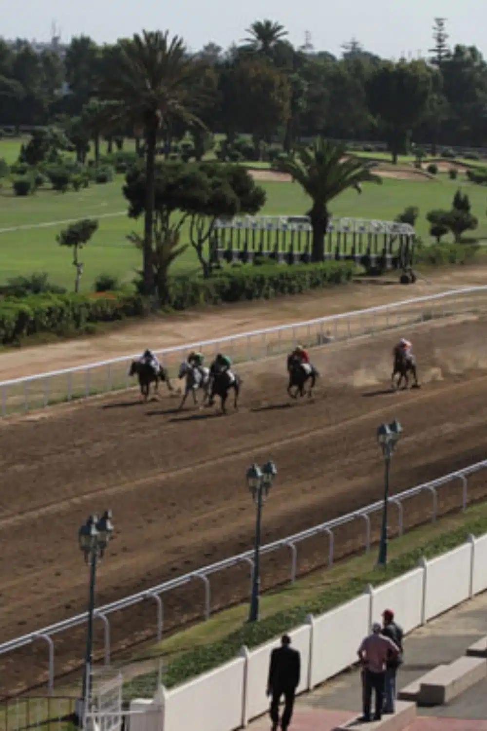 Arrosage terrain hippique de Casablanca par Aquamag au Maroc et en Afrique (1) Terrains de sport | Aquamag
