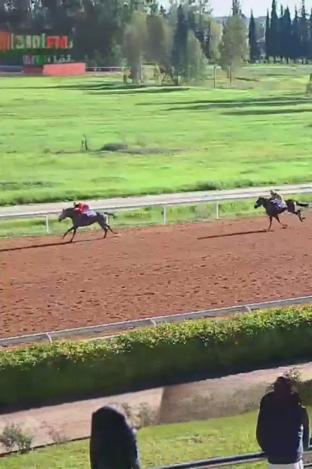 Arrosage terrain hippique de Meknes par Aquamag au Maroc et en Afrique Terrains de sport | Aquamag