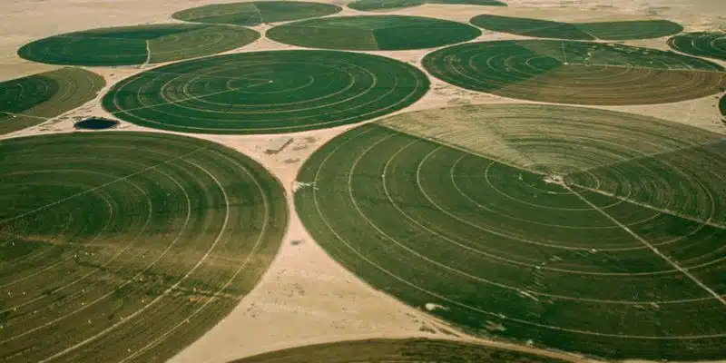 Aspersion par pivot central pour le domaine agricole par Aquamag au Maroc et en Afrique (800 x 600 px) Aspersion | Aquamag