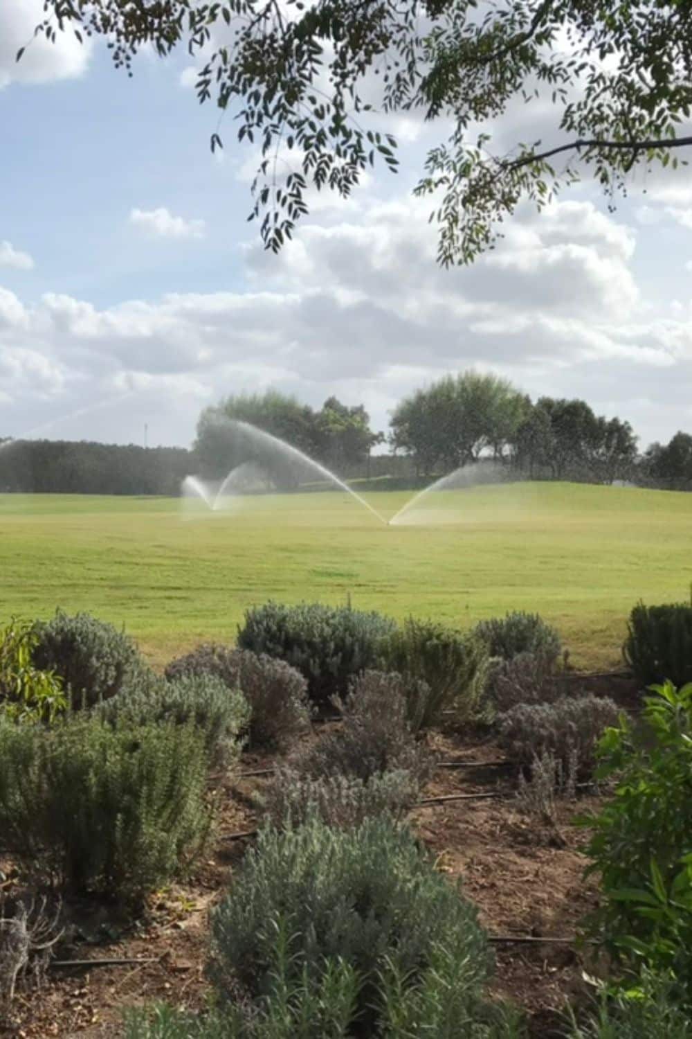 Jardins privés | Aquamag