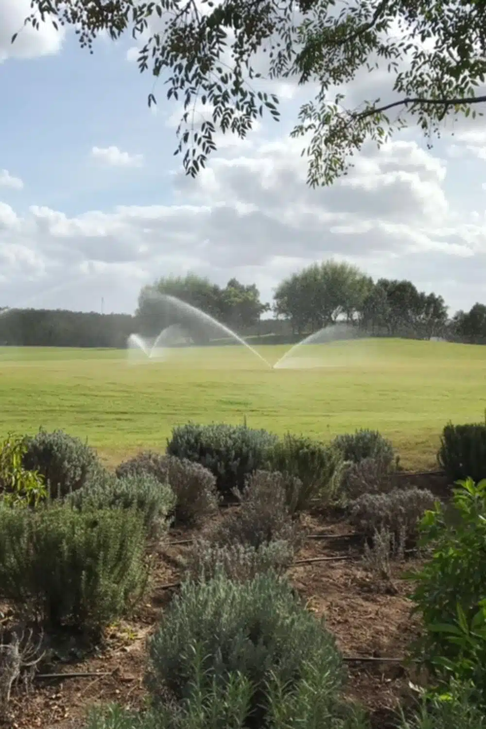 California Golf Resort à Bouskoura Jardins privés | Aquamag