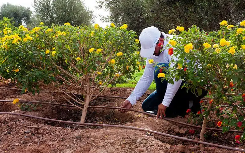 Entreprise d’irrigation et d’arrosage automatique au Maroc et en Afrique Présentation | Aquamag