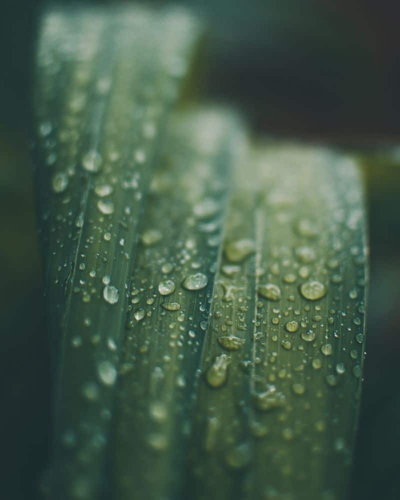 Aspersion | Aquamag