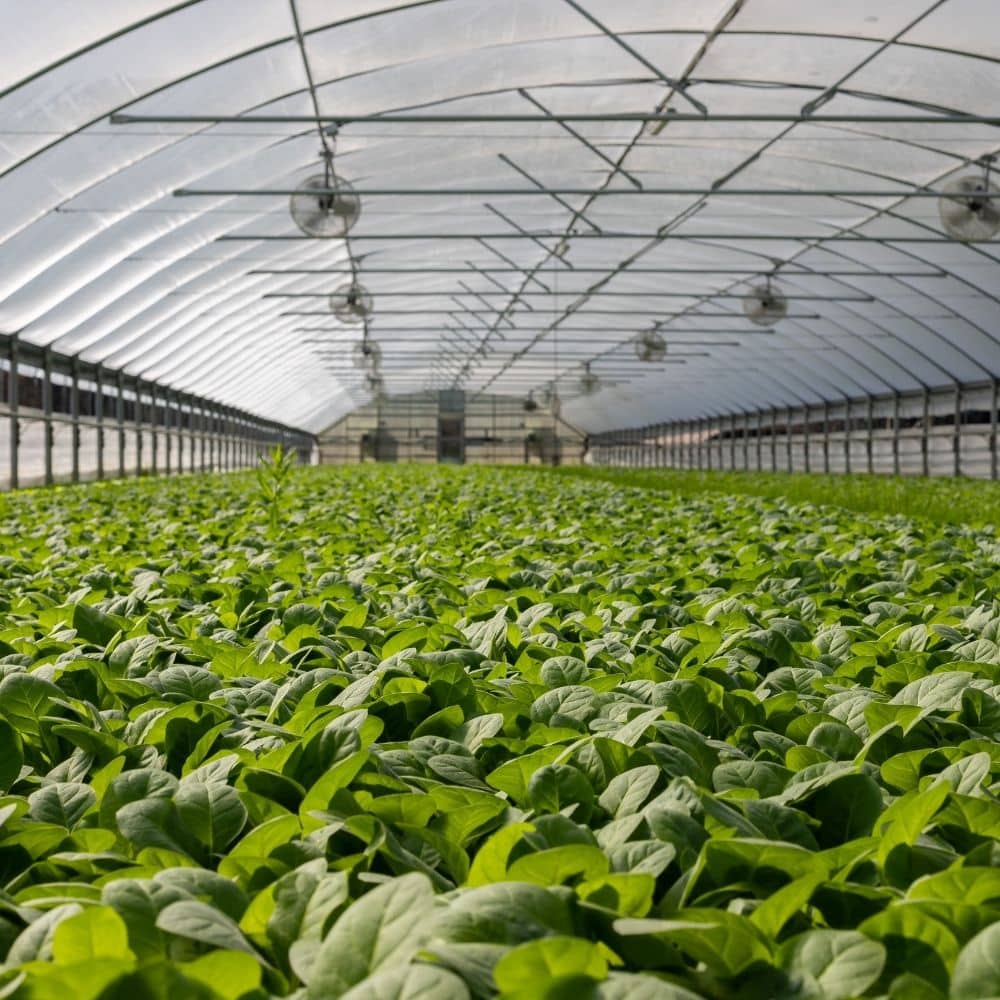 Micro-irrigation | Aquamag