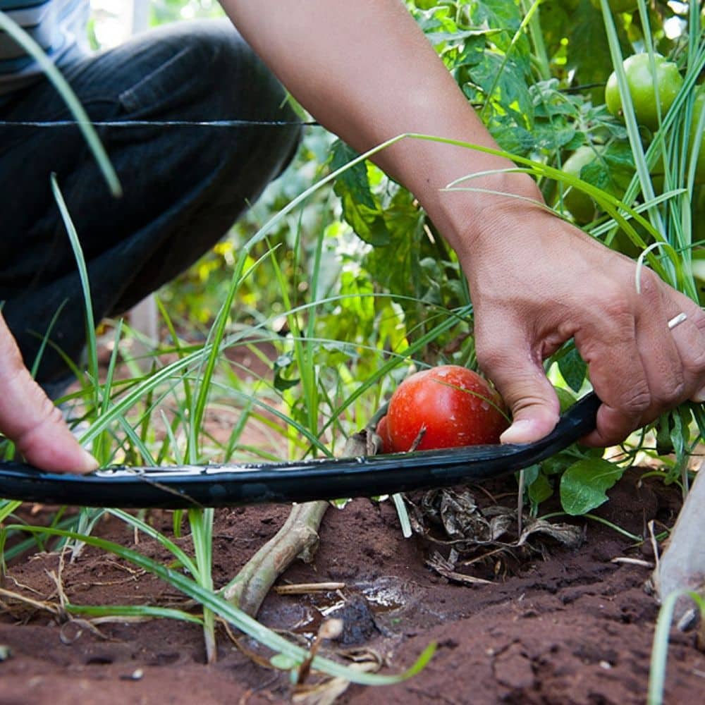 Micro-irrigation | Aquamag