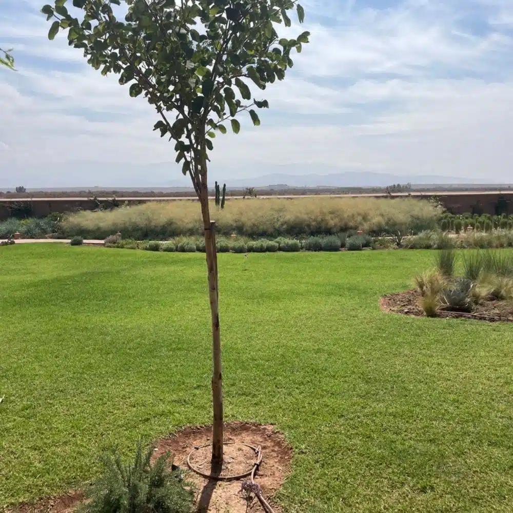 Optimiser la consommation d’eau en irrigation et arrosage au Maroc et en Afrique Présentation | Aquamag