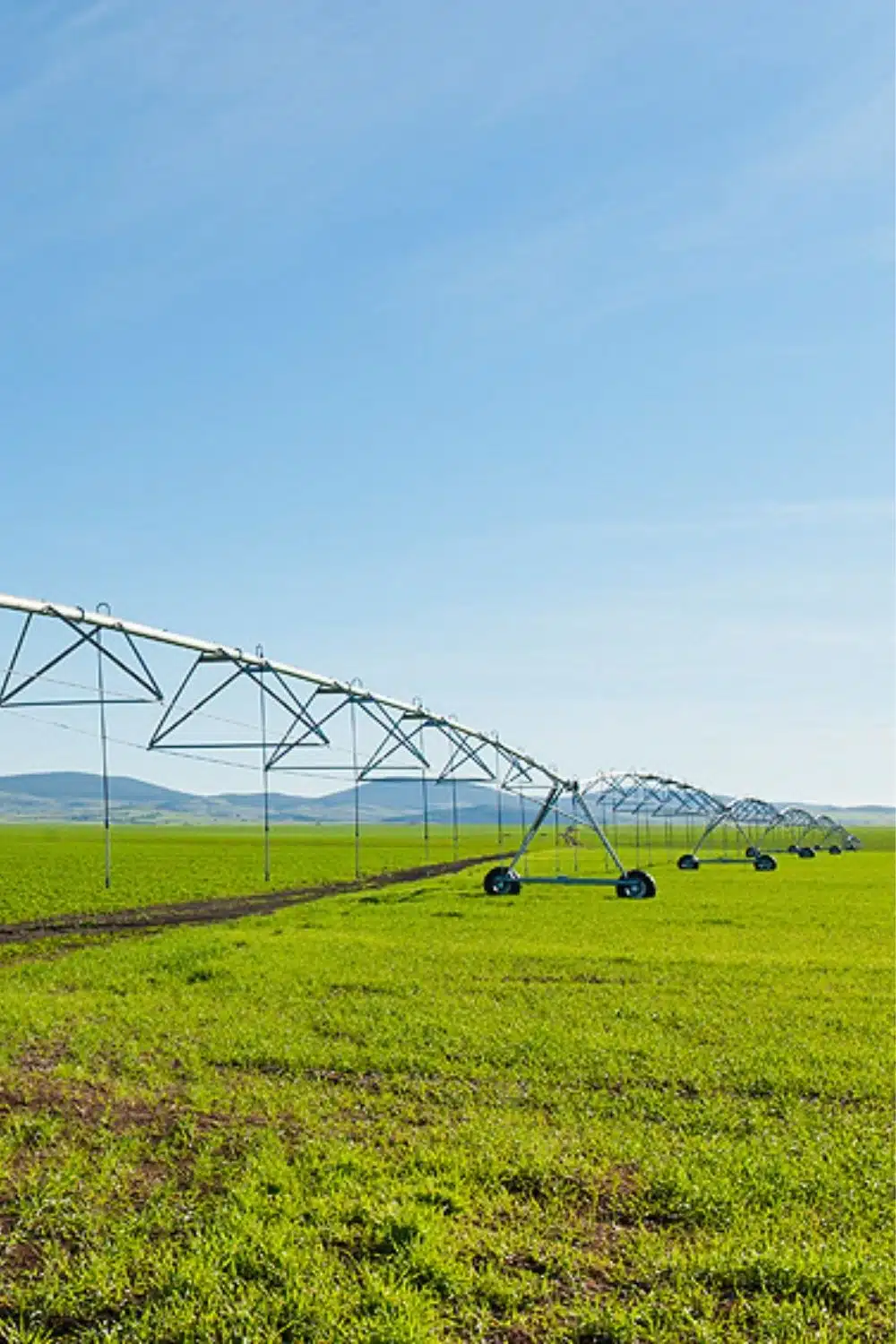 Pivot d’arrosage à Romani par Aquamag au Maroc et en Afrique Irrigation | Aquamag