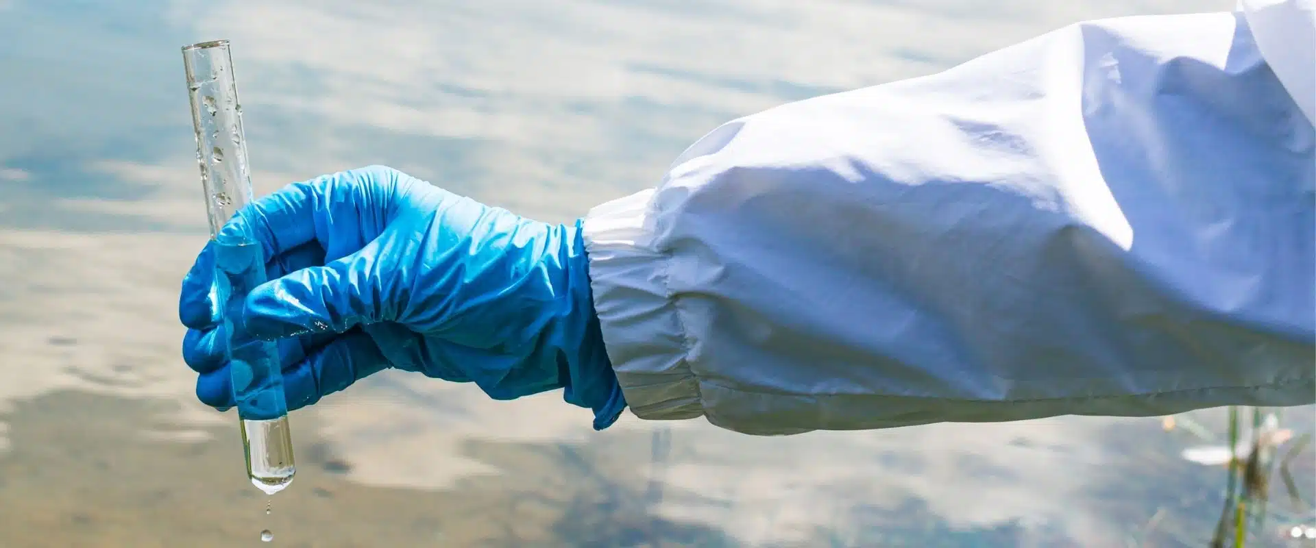 systèmes d’irrigation pour le domaine agricole par Aquamag au Maroc et en Afrique (5) Irrigation | Aquamag