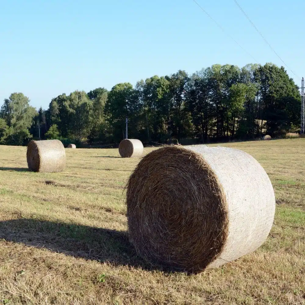 Enrouleurs avec canons d’arrosage pour le fourrage par Aquamag au Maroc et en Afrique Aspersion | Aquamag