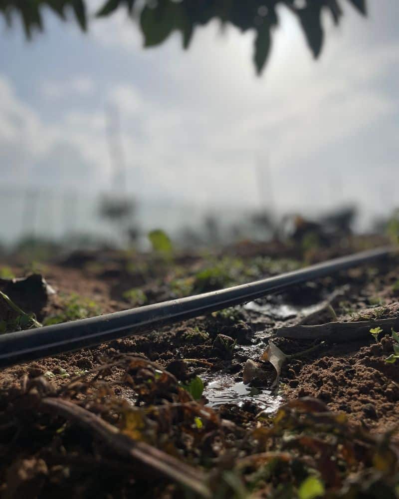 Micro-irrigation | Aquamag