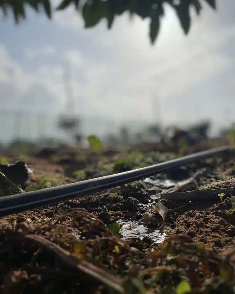 Micro-irrigation par Aquamag au Maroc et en Afrique Micro-irrigation | Aquamag