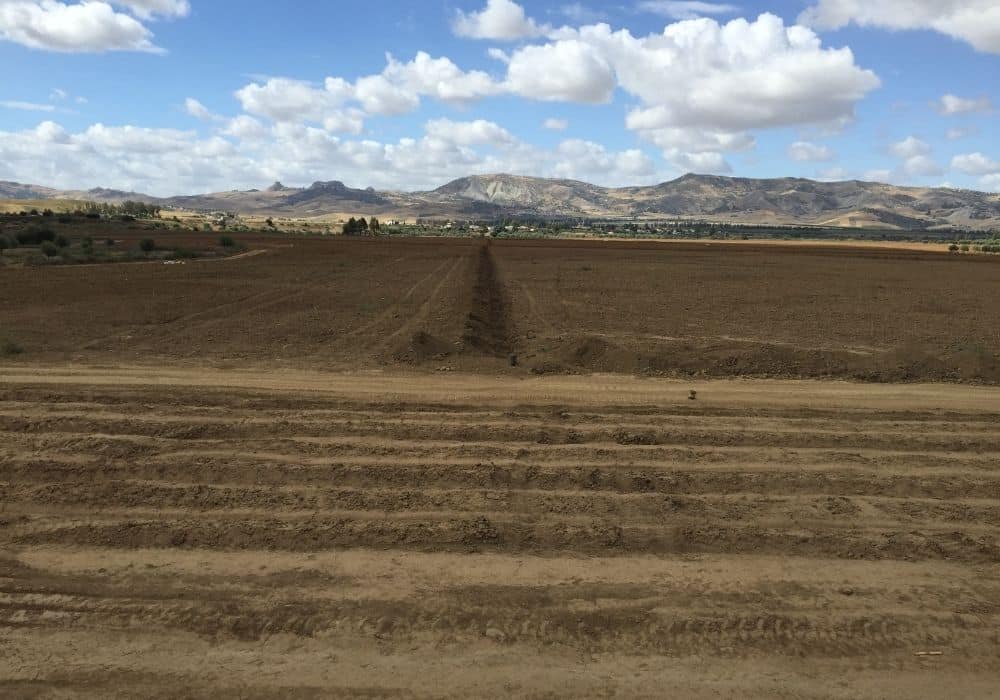 Réalisations d’irrigation et d’arrosage automatique par Aquamag au Maroc et en Afrique (10) Réalisations | Aquamag