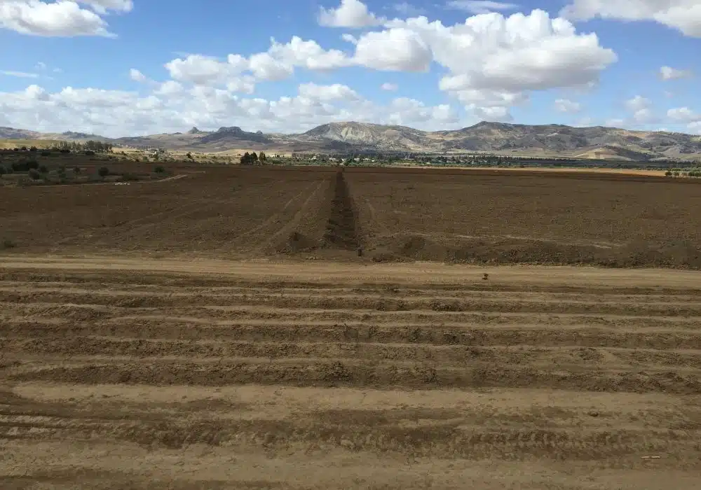 Réalisations d’irrigation et d’arrosage automatique par Aquamag au Maroc et en Afrique (10) Réalisations | Aquamag