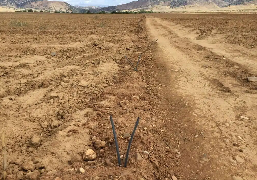 Réalisations d’irrigation et d’arrosage automatique par Aquamag au Maroc et en Afrique (12) Réalisations | Aquamag