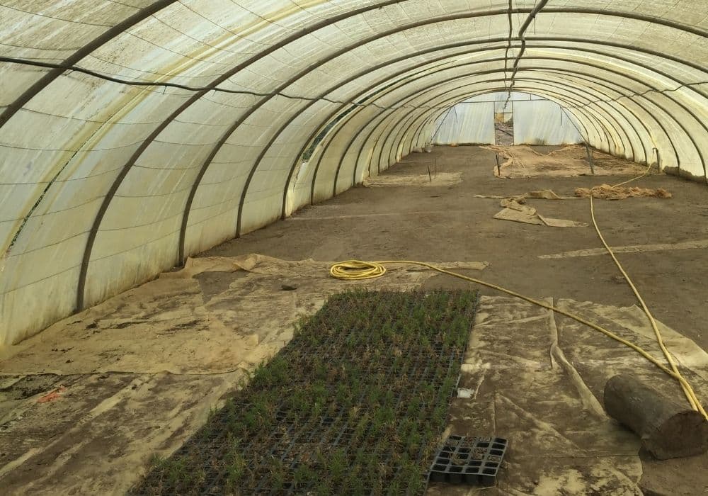 Réalisations d’irrigation et d’arrosage automatique par Aquamag au Maroc et en Afrique (15) Réalisations | Aquamag