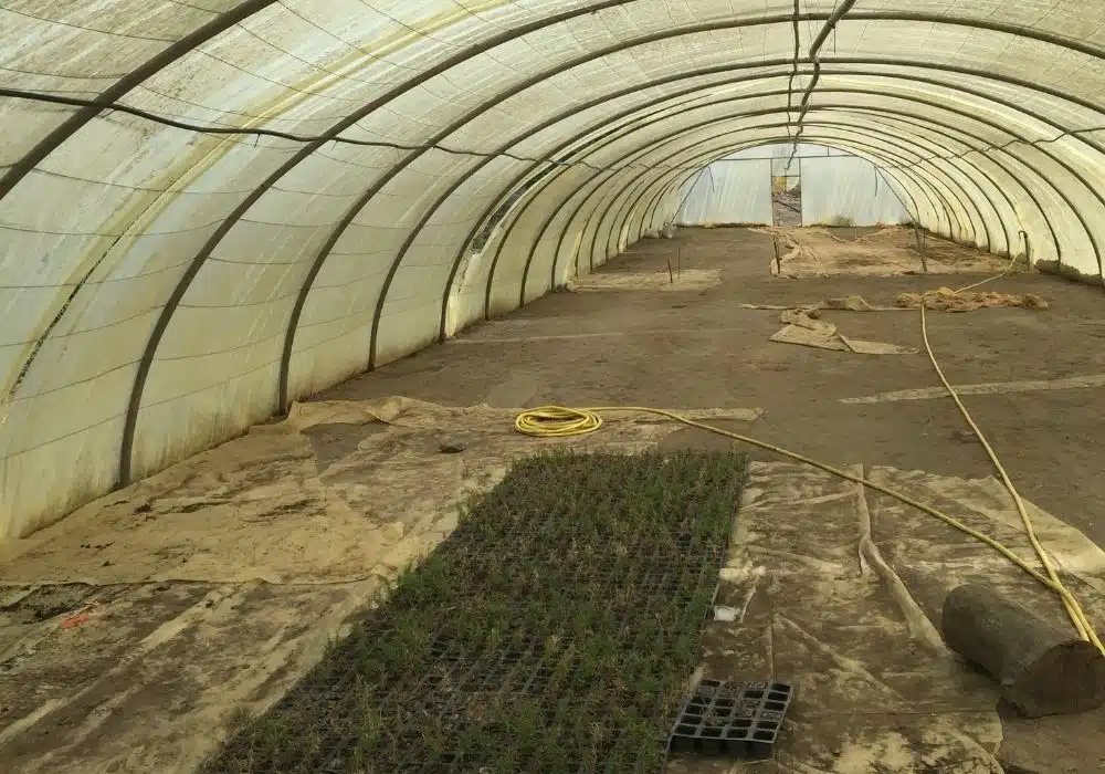 Réalisations d’irrigation et d’arrosage automatique par Aquamag au Maroc et en Afrique (15) Réalisations | Aquamag