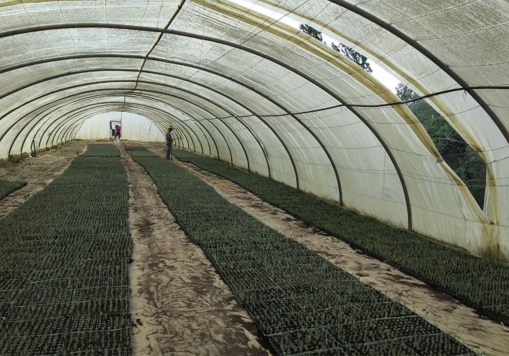 Réalisations d’irrigation et d’arrosage automatique par Aquamag au Maroc et en Afrique (16) Réalisations | Aquamag