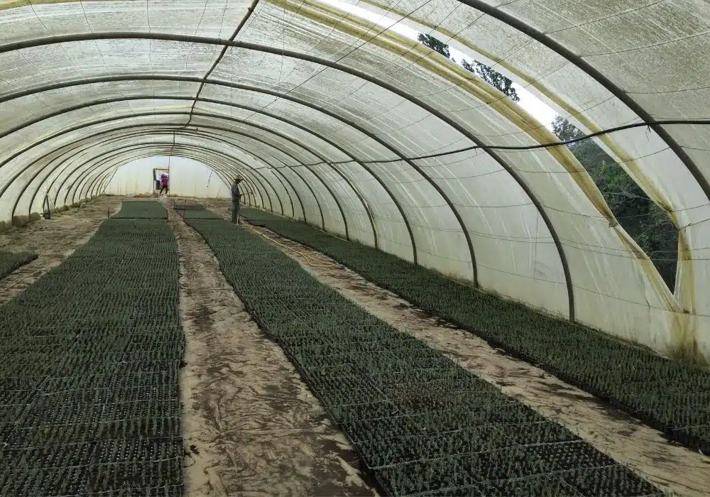 Réalisations d’irrigation et d’arrosage automatique par Aquamag au Maroc et en Afrique (16) Réalisations | Aquamag