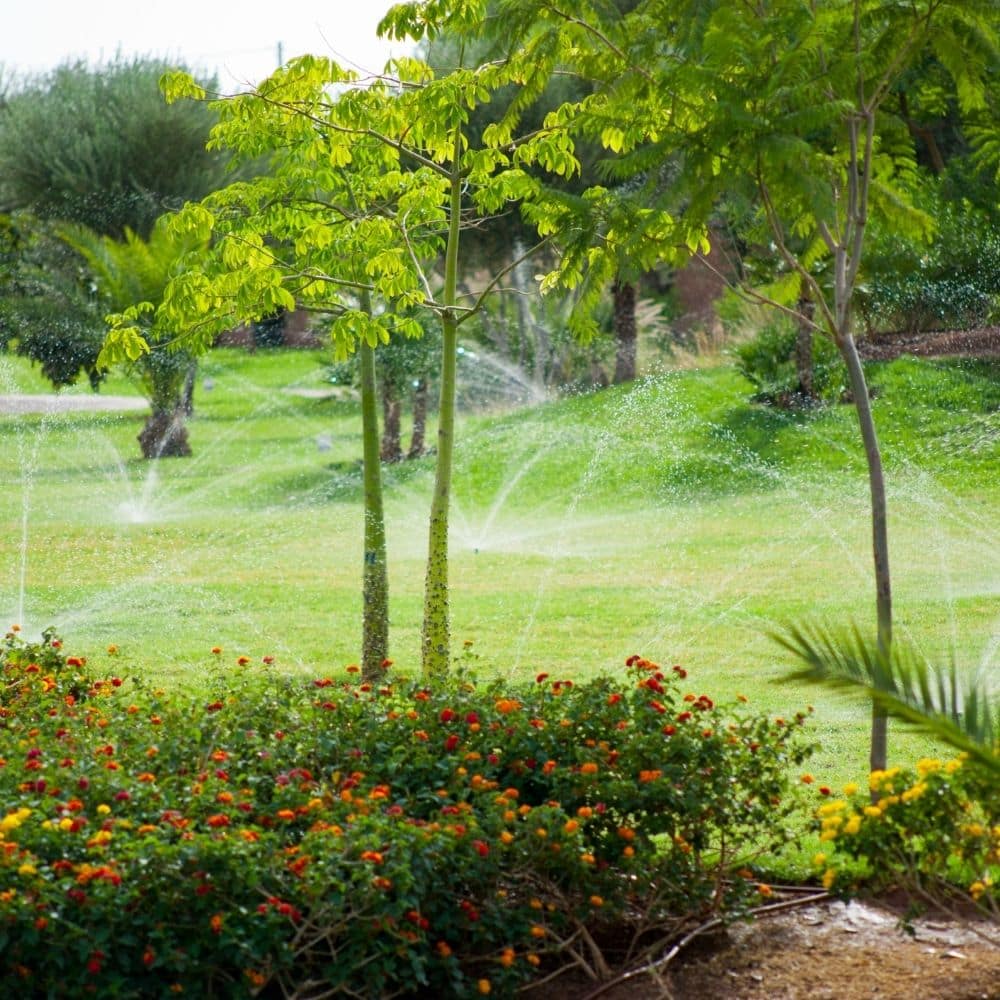 Jardins privés | Aquamag