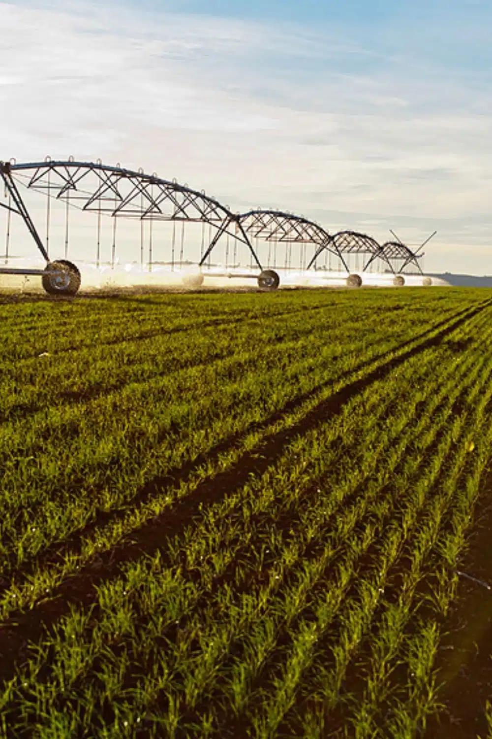 Aspersion pivot rampe enrouleur par Aquamag au Maroc et en Afrique Aspersion | Aquamag