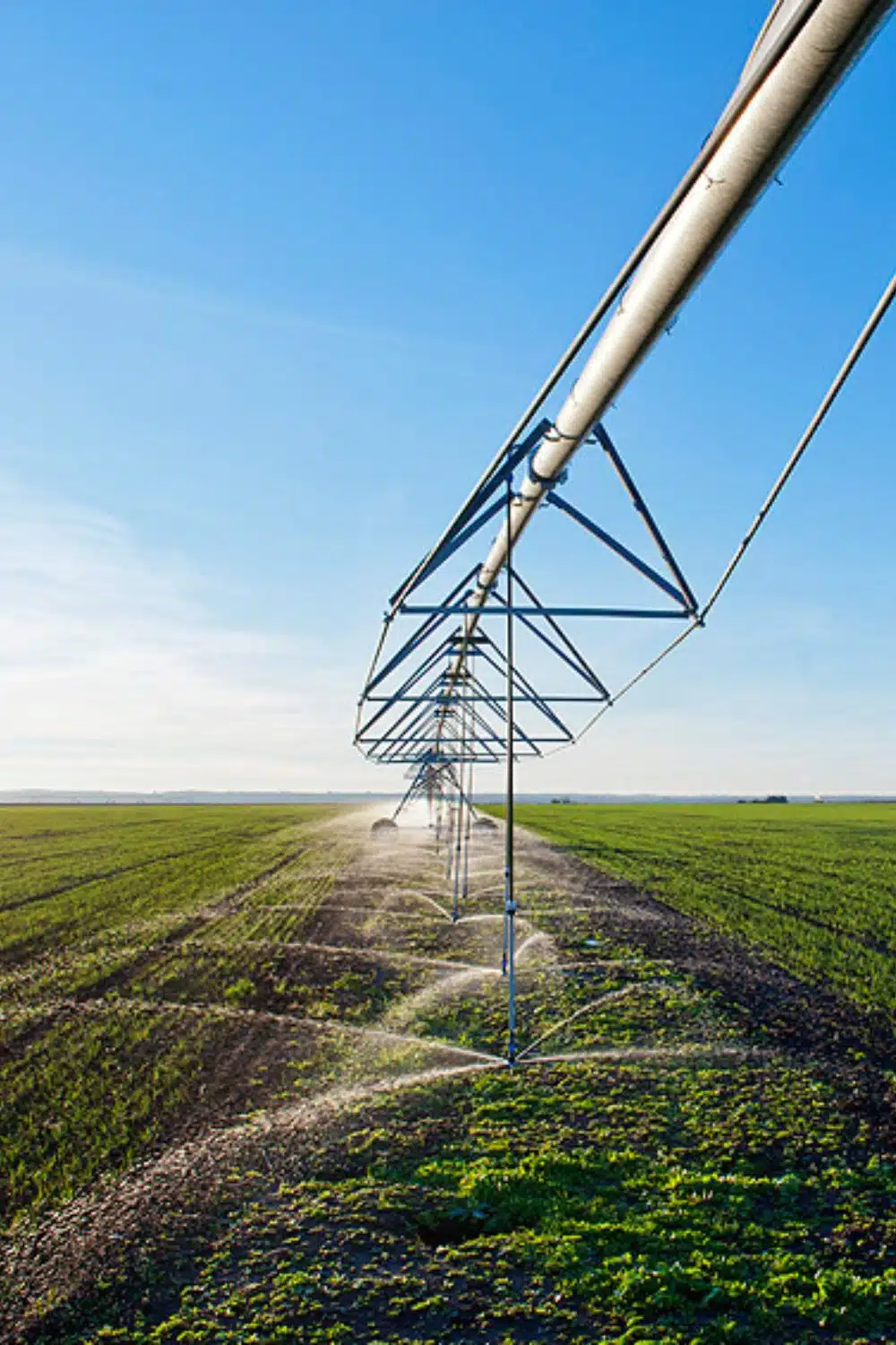 Rampe d’Irrigation par goutte-à-goutte d’une parcelle de maraîchage par Aquamag au Maroc et en Afrique Irrigation | Aquamag